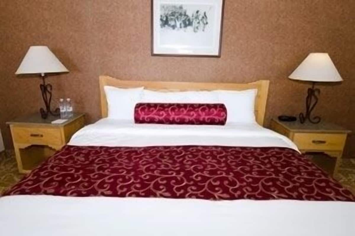 Suite, 1 letto king, idromassaggio | Materassi a doppio strato, una cassaforte in camera, tende oscuranti