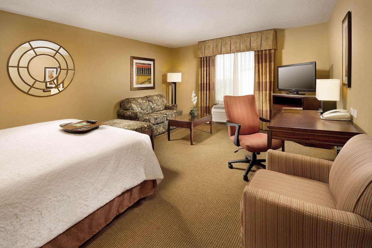 Habitación de hotel con cama, sofá, sillón, escritorio con televisor y lámpara.