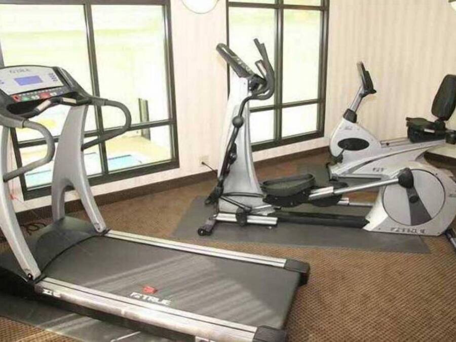A gym with treadmills and elliptical machines.