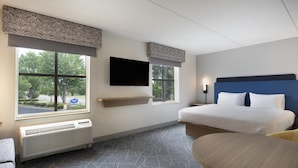 A hotel room with a bed, a TV, a heater, and large windows. - Hampton Inn & Suites Williamsburg Historic District (Williamsburg)