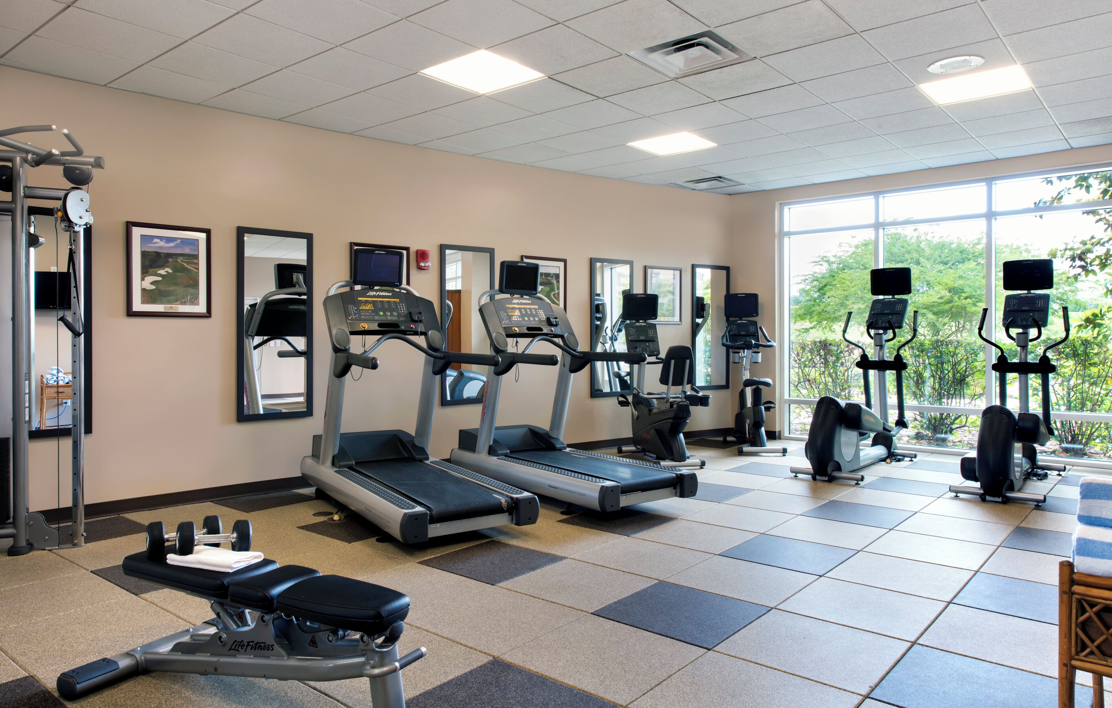 A gym with treadmills, elliptical machines, and weight benches.
