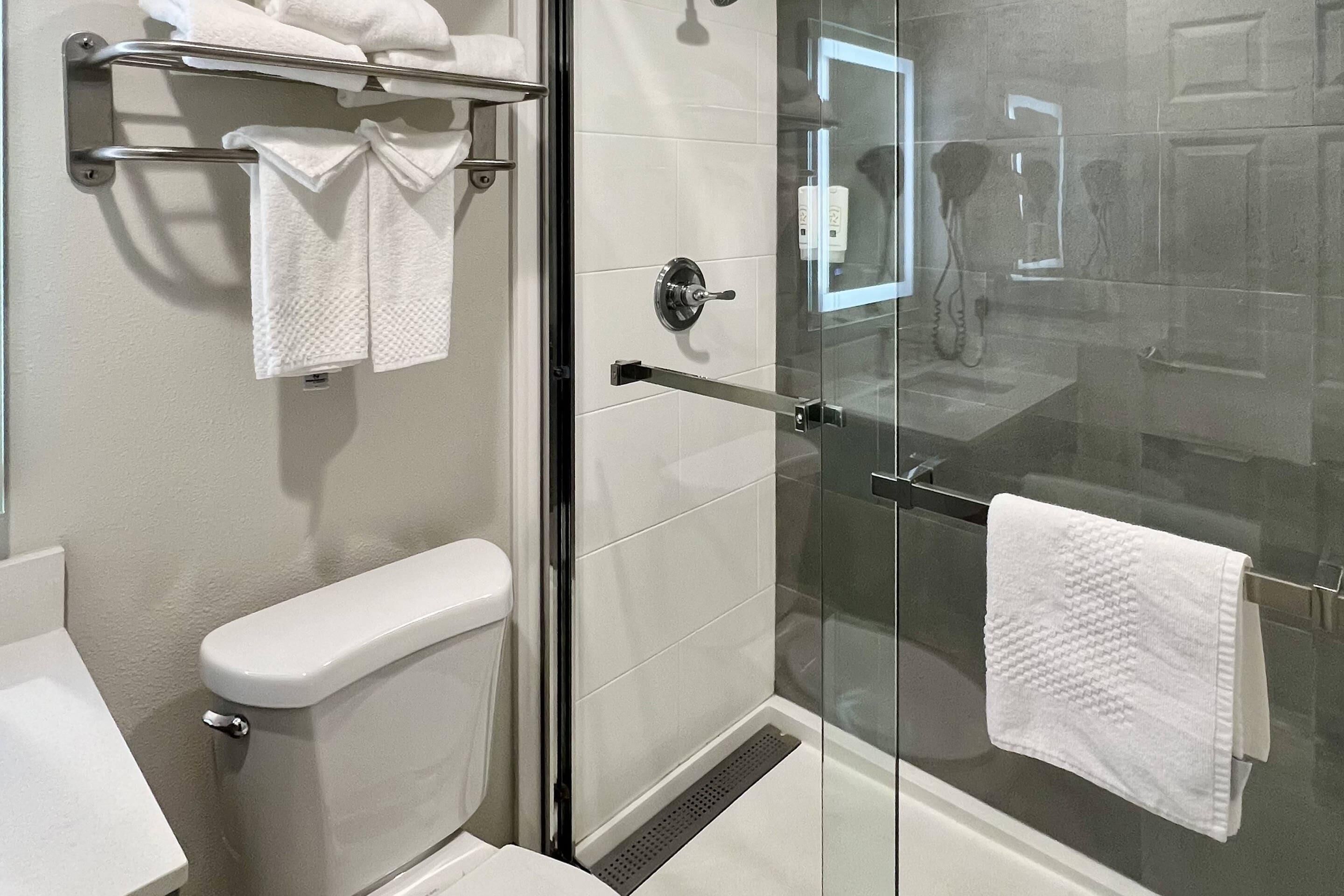 A bathroom with a toilet, a glass shower enclosure, and a towel rack.