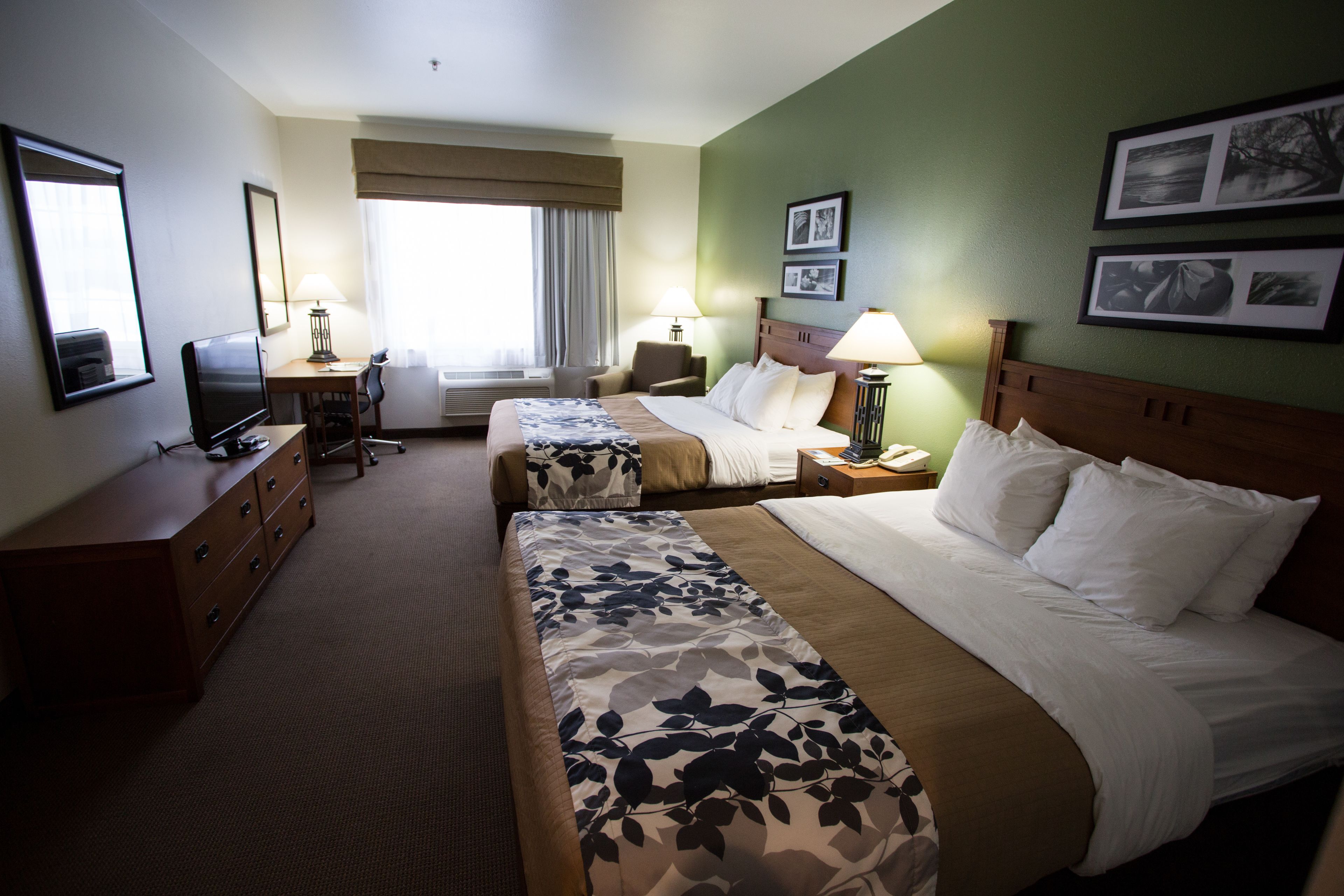 standard room, 2 queen beds, non smoking | desk, blackout curtains, iron/ironing board, free cots/infant beds