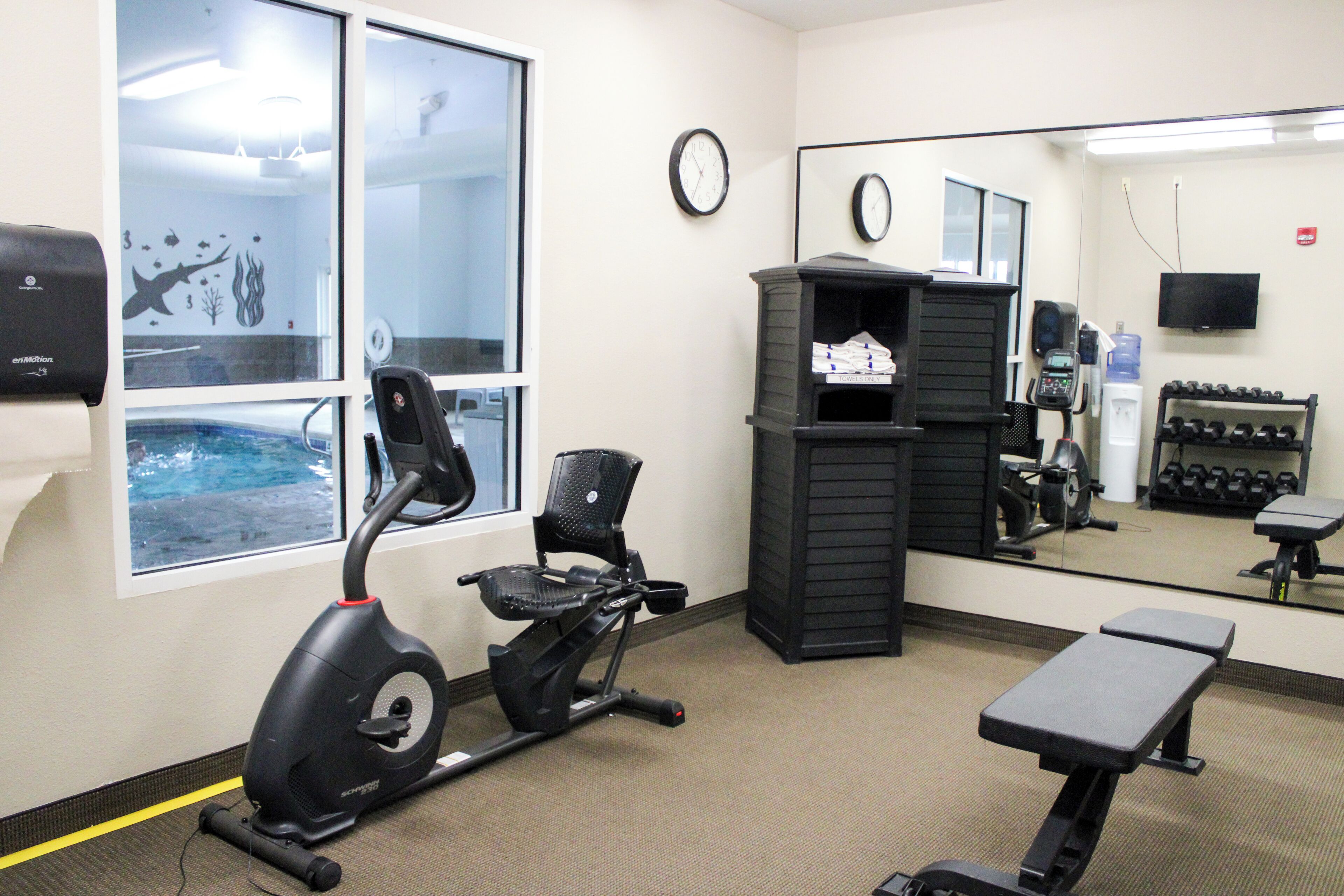 A gym with an exercise bike, a bench, dumbbells, and a water dispenser.