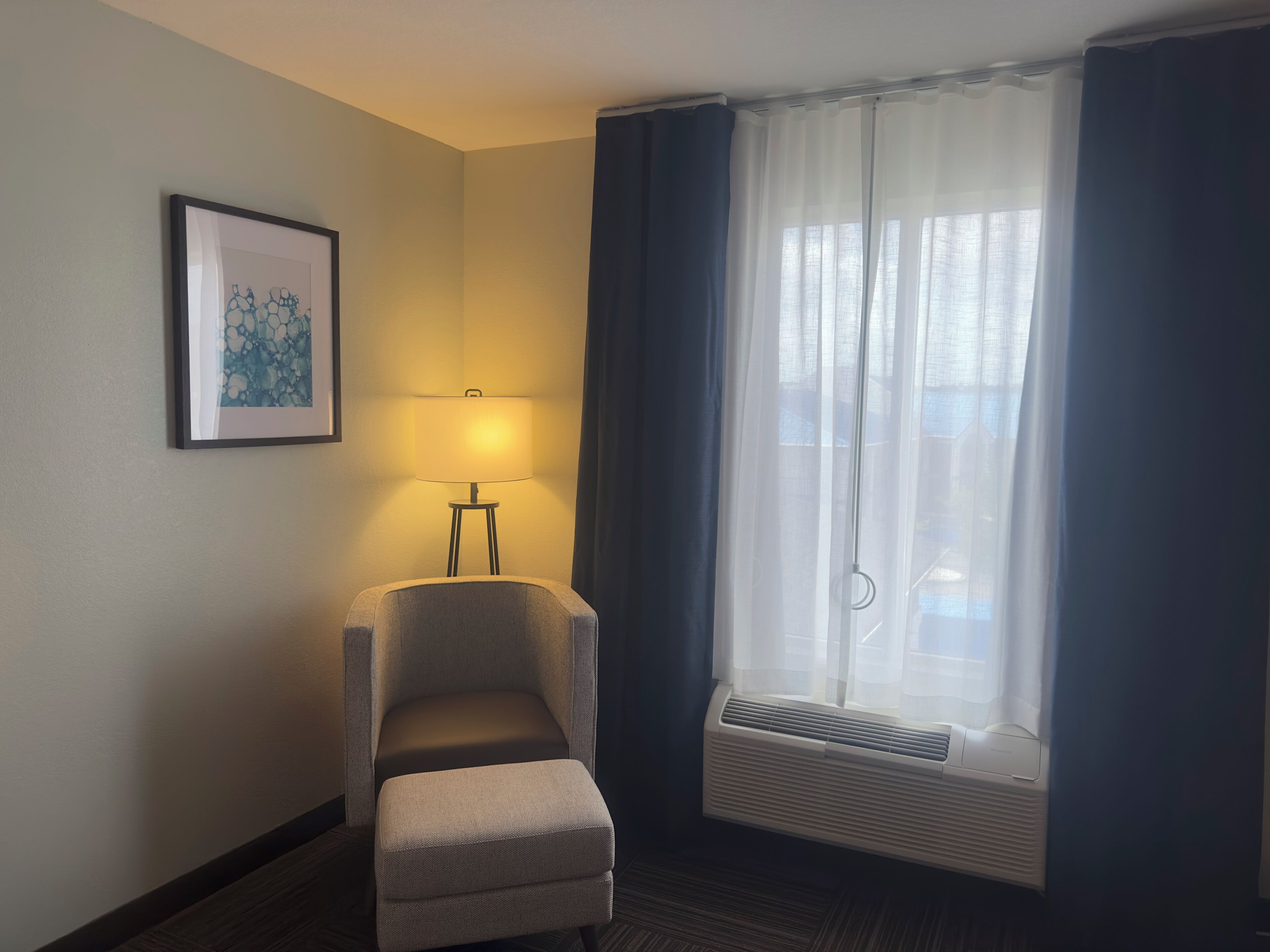 room, 1 king bed, accessible, non smoking (mobility, roll-in shower) | hypo-allergenic bedding, desk, laptop workspace, blackout curtains