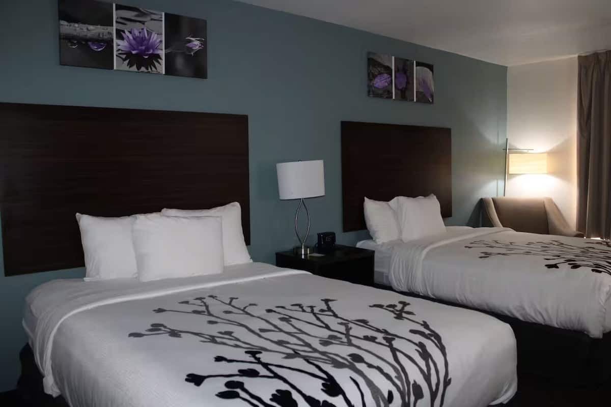 Two double beds with dark wood headboards, a bedside table with a lamp, and wall art above the beds.