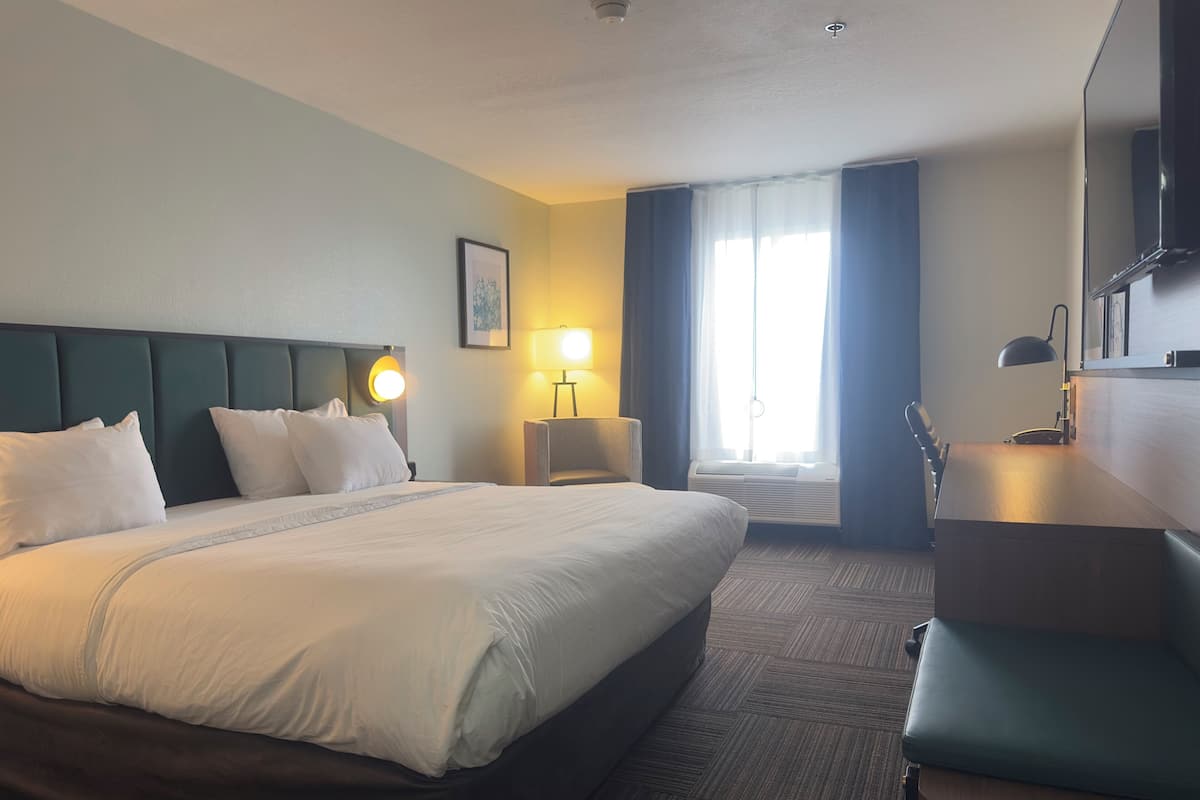 Room, 1 King Bed, Accessible, Non Smoking (Mobility, Roll-in Shower) | Hypo-allergenic bedding, desk, laptop workspace, blackout drapes