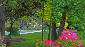 Outdoor pool, pool umbrellas, pool loungers