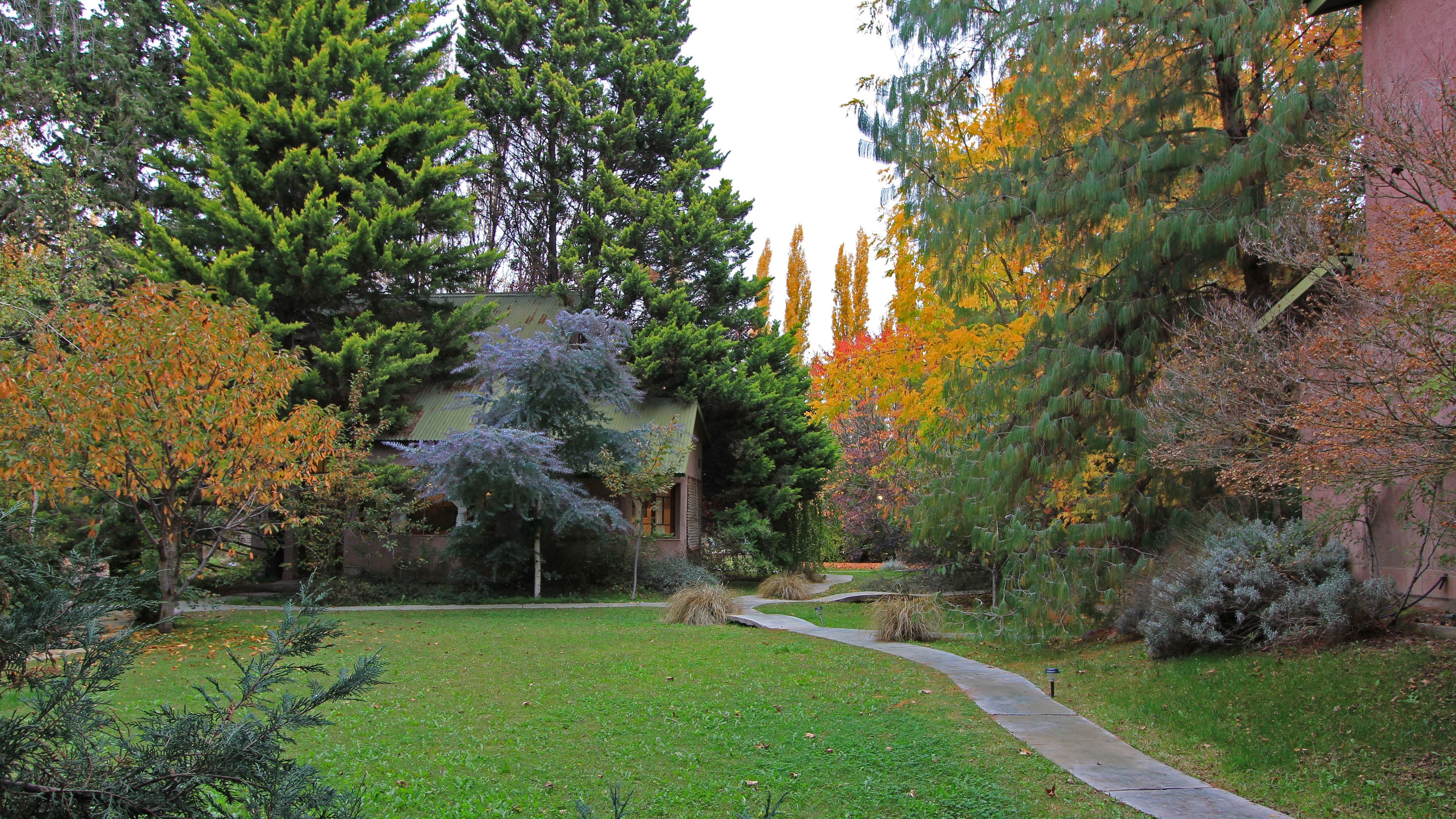 A well-maintained garden with a variety of trees, a lawn, and a pathway leading to a building.
