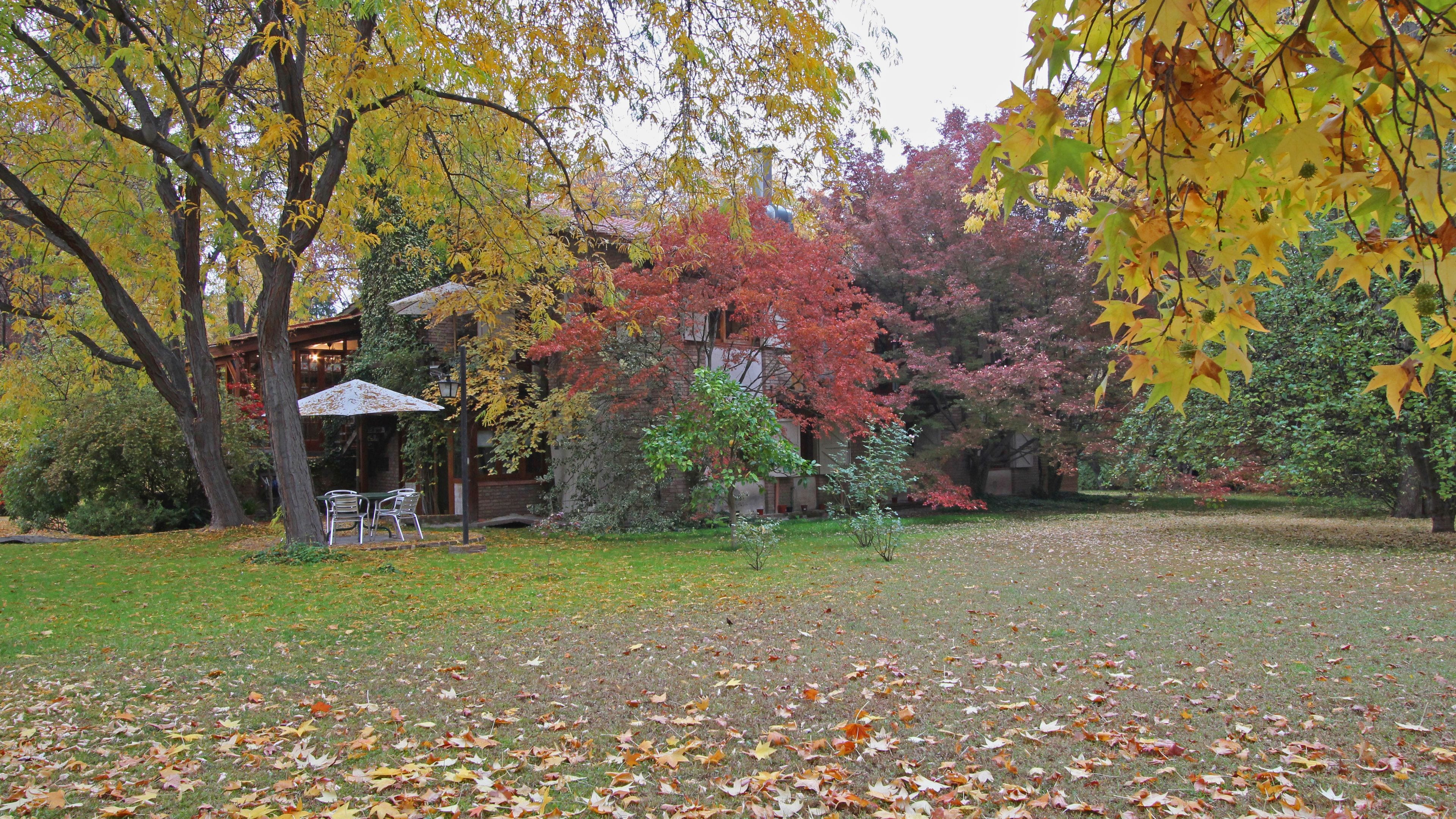Un jardin avec une pelouse, des arbres aux feuilles d’automne et un bâtiment doté d’une terrasse.