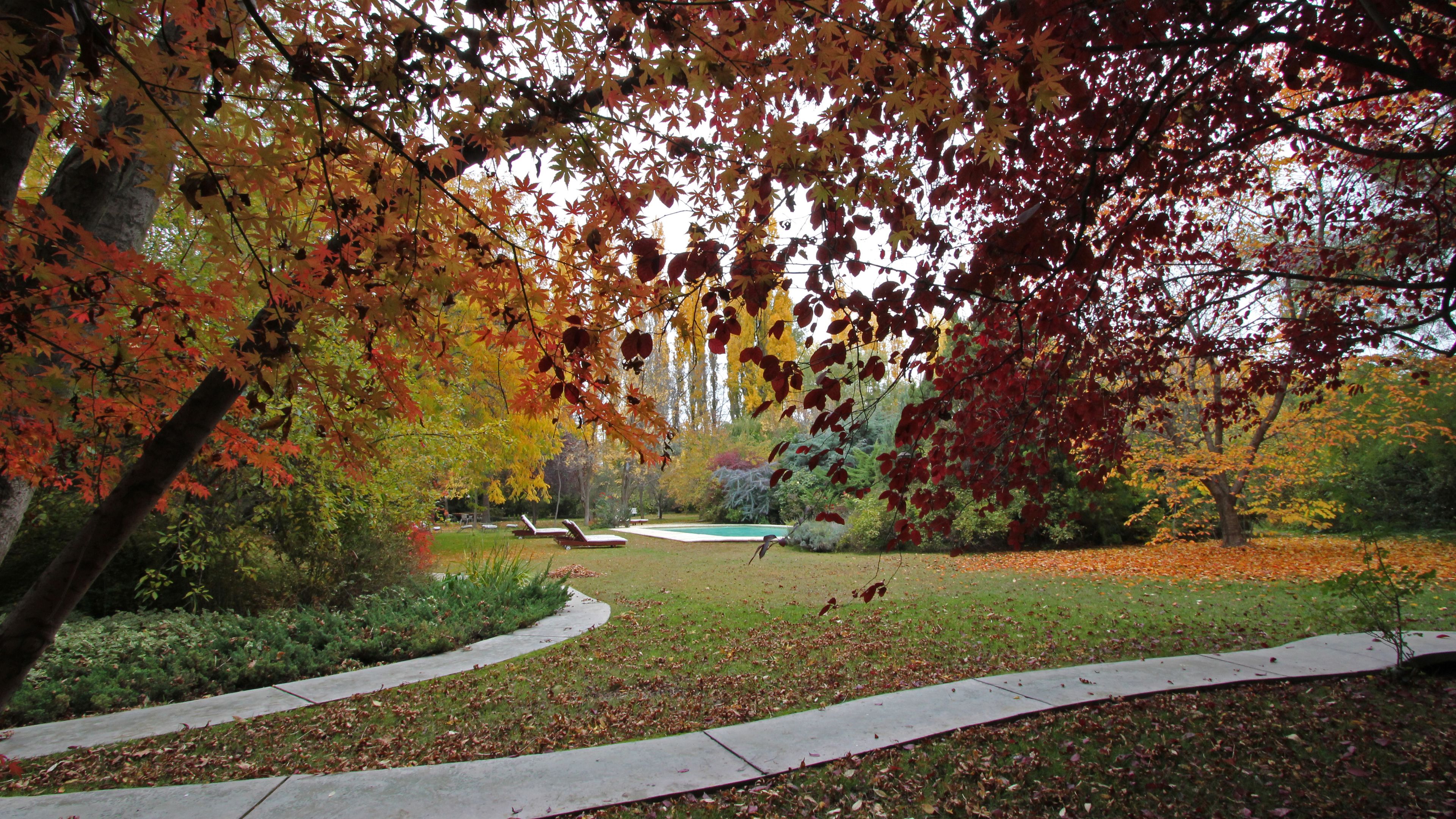 Un parc avec un sentier, des bancs et des arbres aux feuilles d’automne.