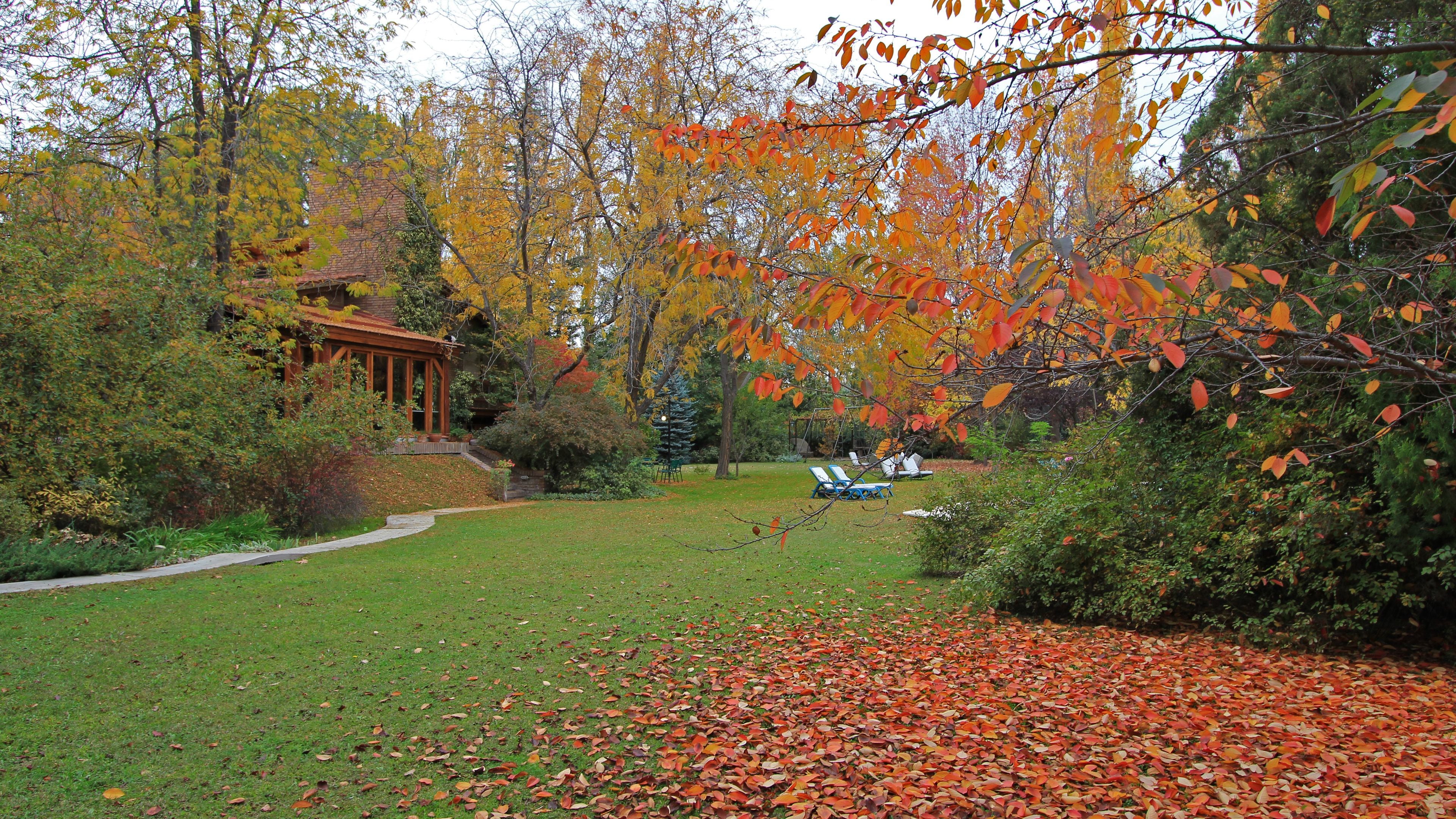 Un giardino con un gazebo, un prato e foglie autunnali.