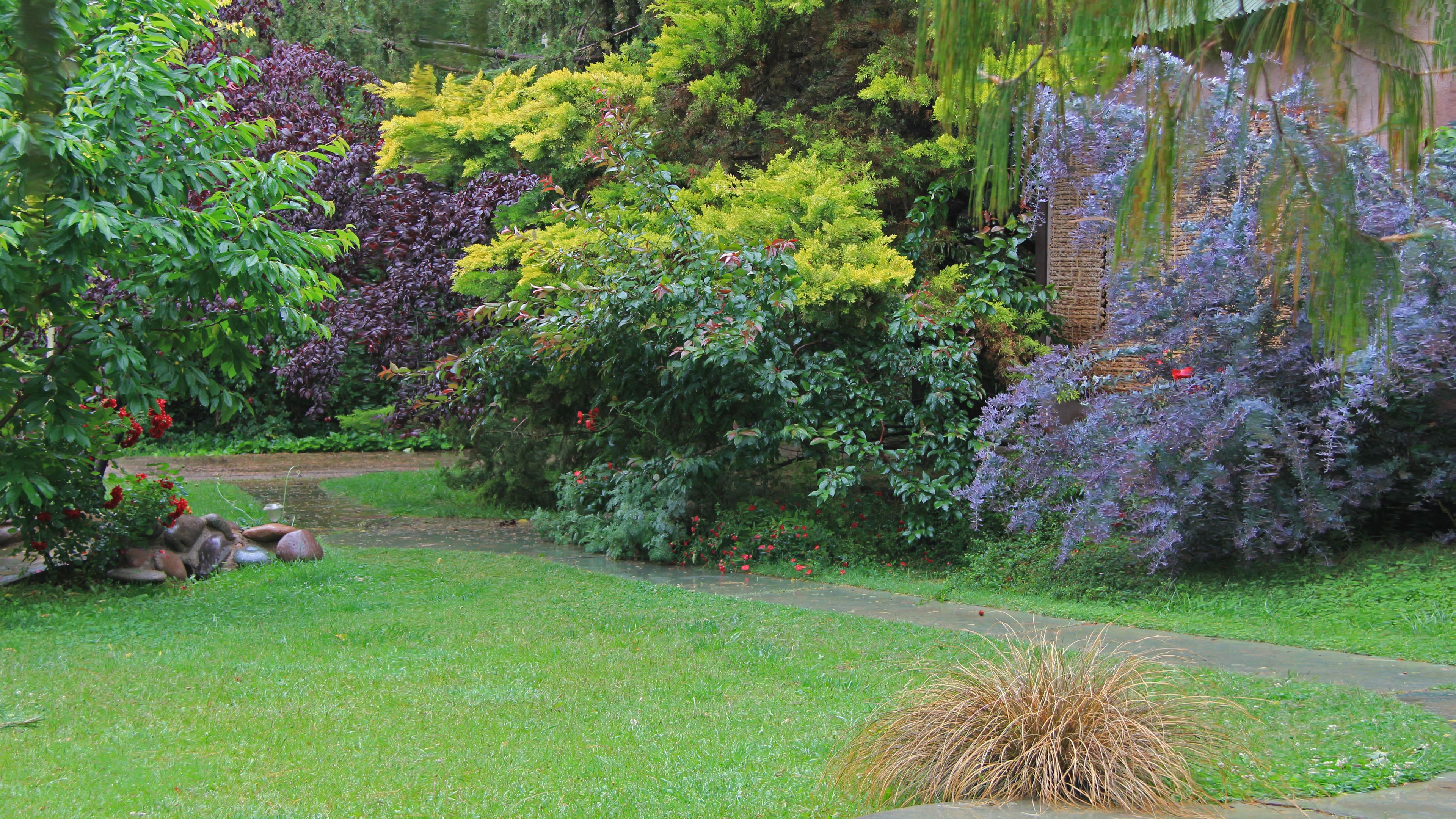 A garden with various plants and a small pond.