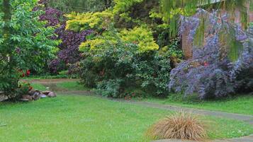 A garden with various plants and a small pond.