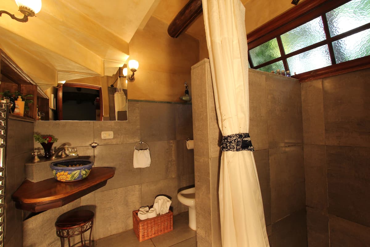 suite (liquidambar) | bathroom | rainfall showerhead, eco-friendly toiletries, hair dryer, bidet