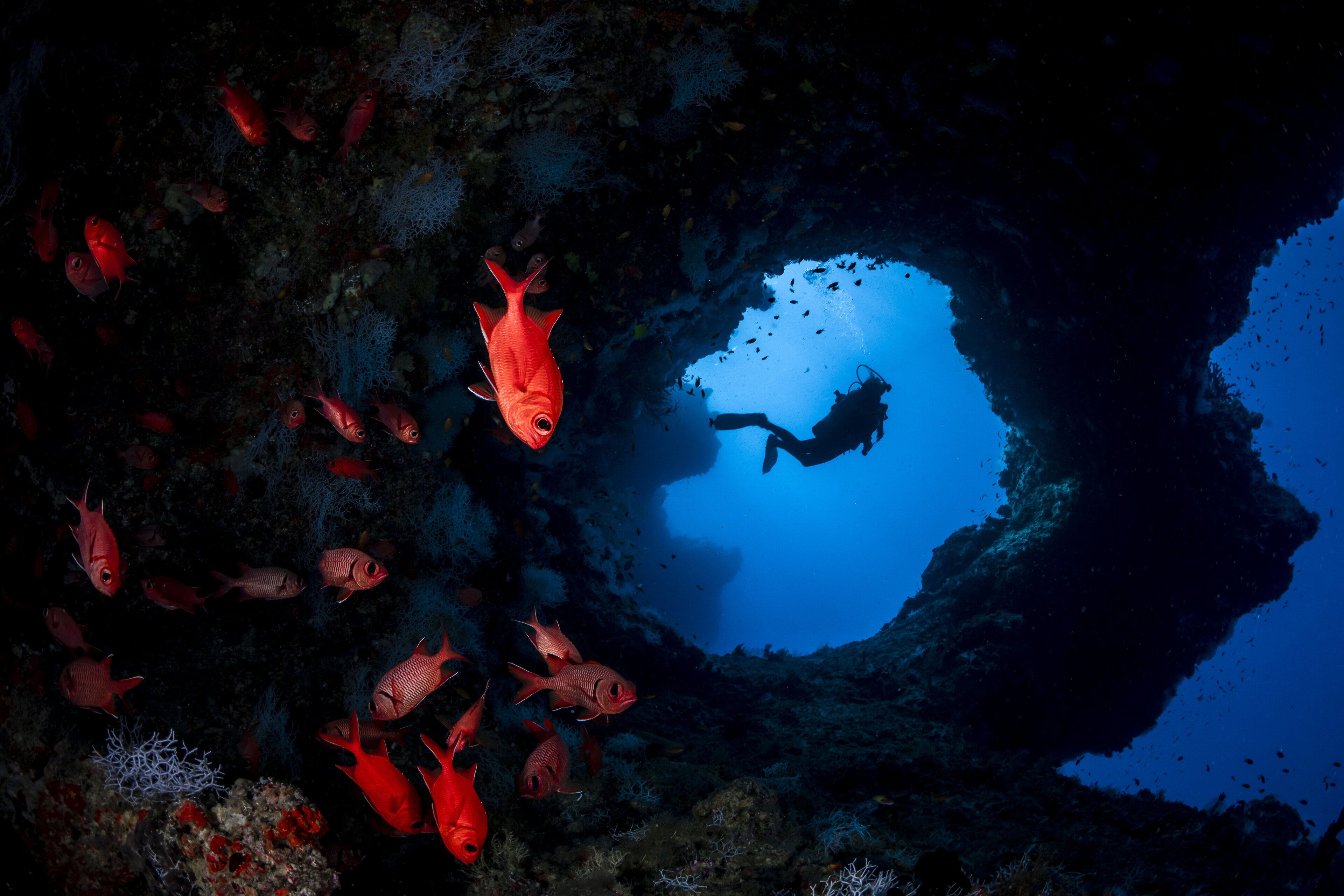 Photo - COMO Cocoa Island