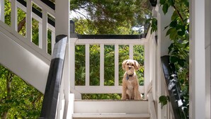 Ein Hund sitzt auf einer weißen Holztreppe mit einem schwarzen Pfosten am unteren Ende.