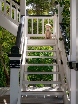 Exterior - The Terrace Villas - Executive Apts (Wellington)