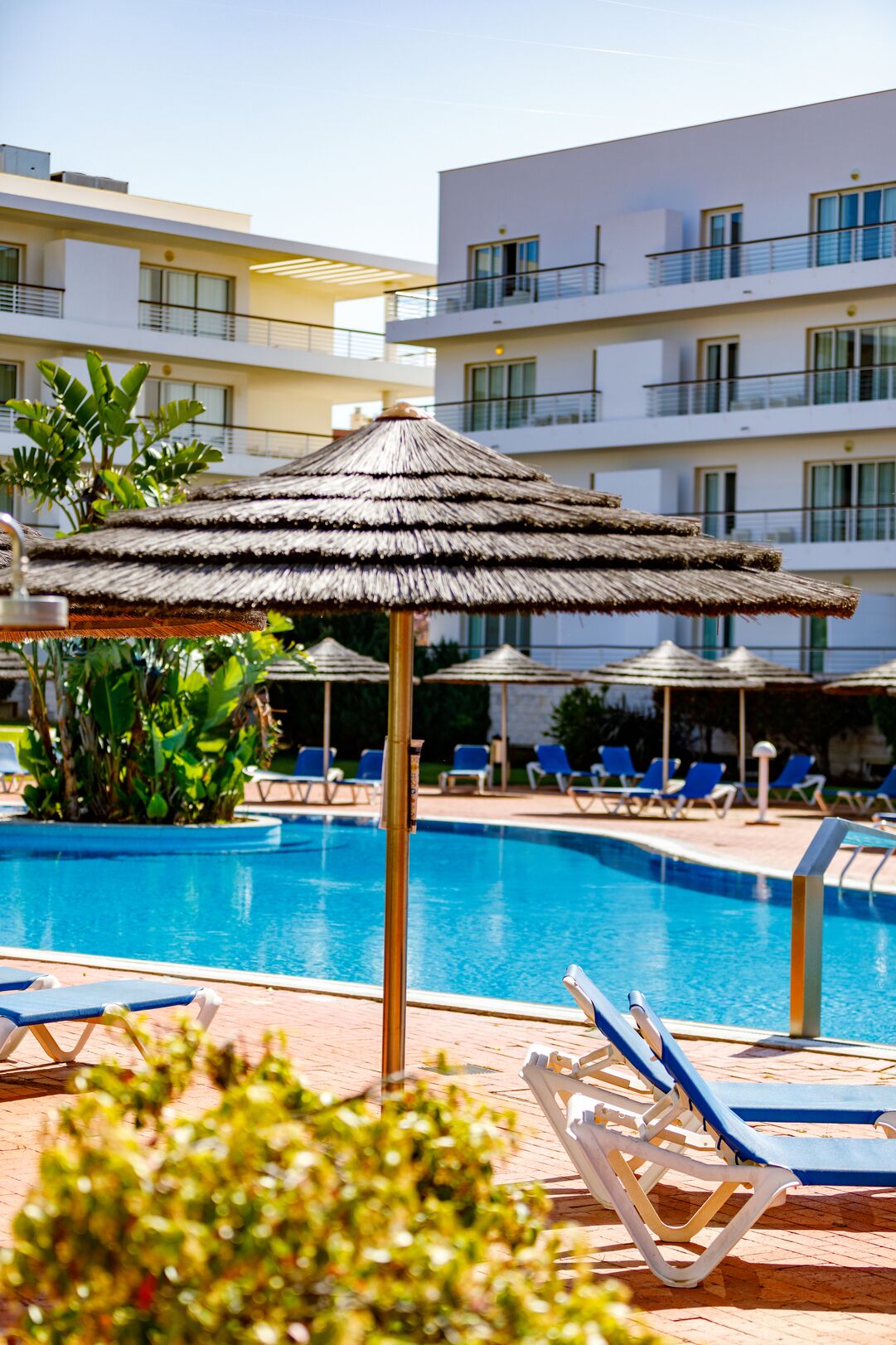 Ein Swimmingpool mit Liegestühlen und einem Sonnenschirm mit Reetdach.