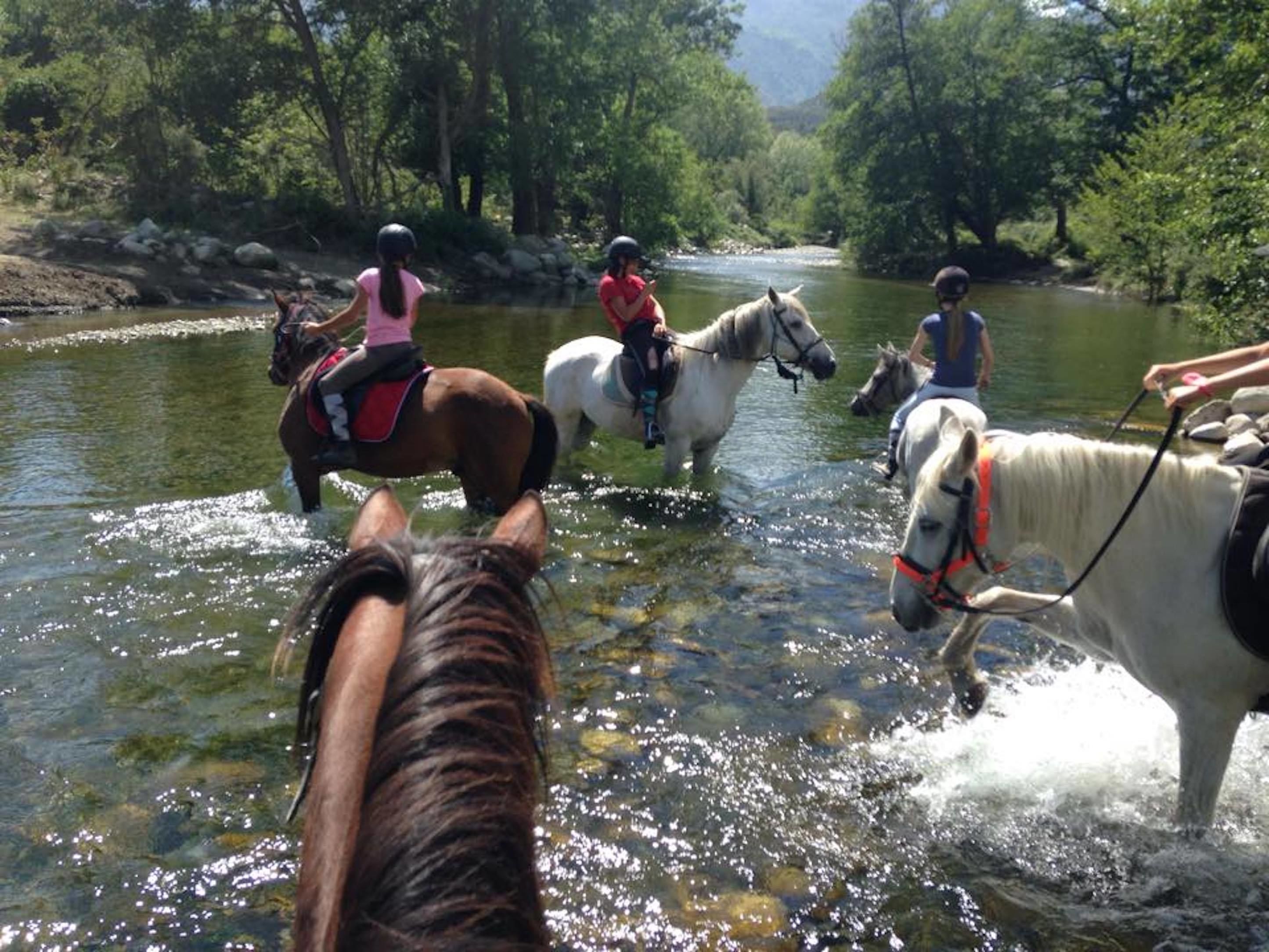 A group of people riding horses along a river surrounded by trees.