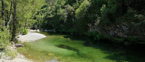 A clear, natural water body surrounded by dense forest and rocky terrain.