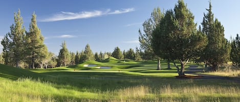 Un campo da golf tra dolci colline, alberi e un cielo azzurro limpido.