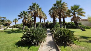 Un camino bordeado de palmeras y plantas de agave que lleva a un edificio con techo de tejas.
