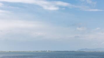 A coastal view with a calm sea, distant land, and a clear sky.