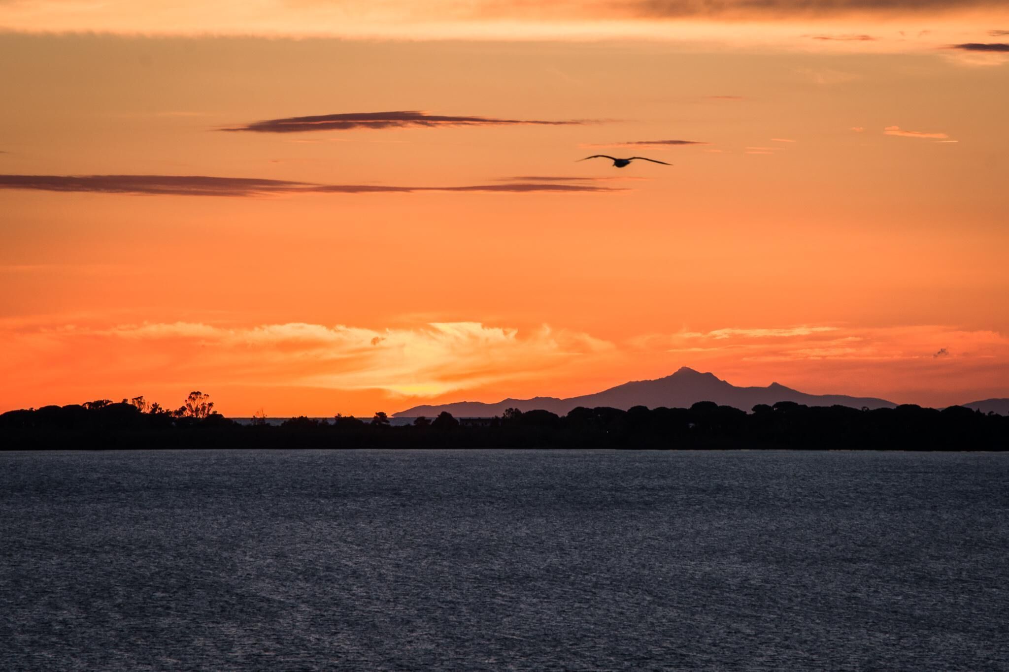 A sunset over a body of water with silhouettes of trees and mountains in the background.