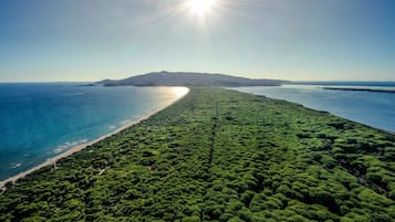 Eine Luftaufnahme eines Küstenwaldes mit Strand und einer fernen Insel.