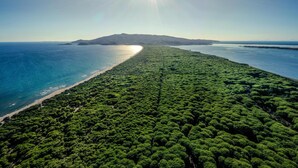 An aerial view of a coastal area with dense green vegetation and a beach.
