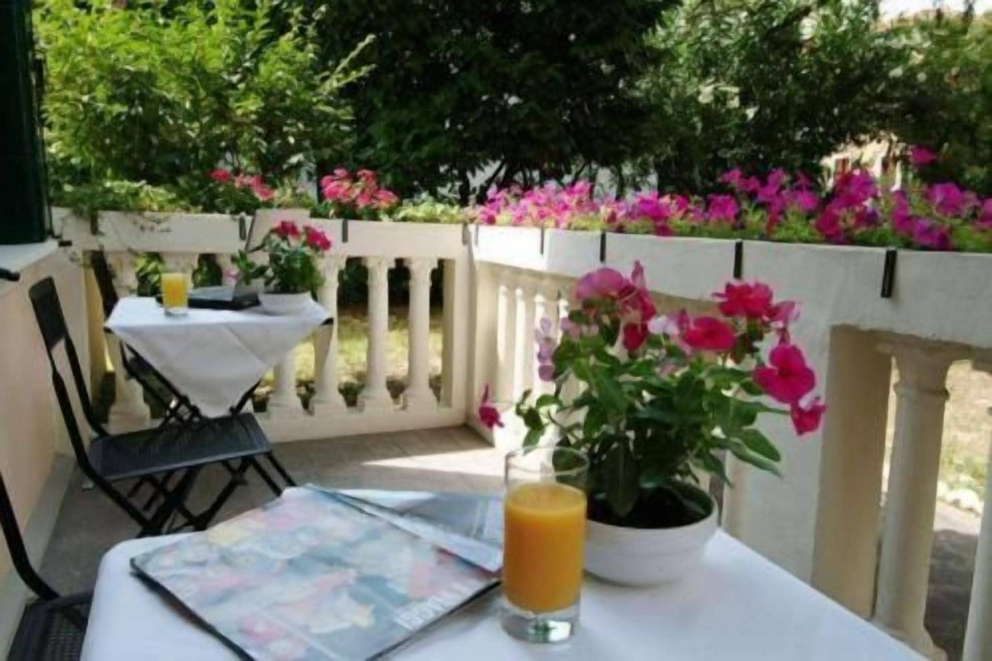 A table with a potted plant, a glass of orange juice, and a menu.
