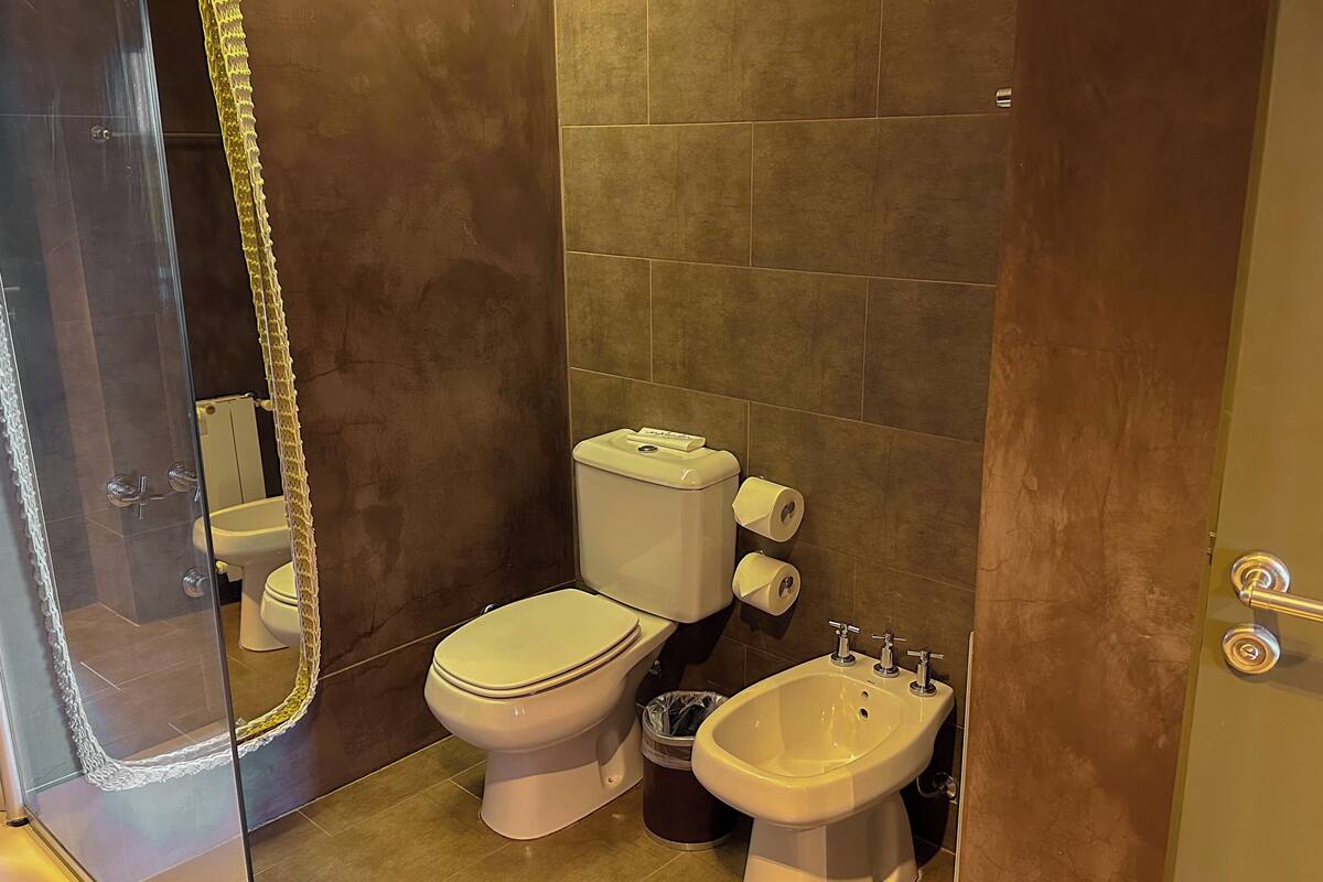 combined shower/bathtub, hair dryer, bidet, towels
