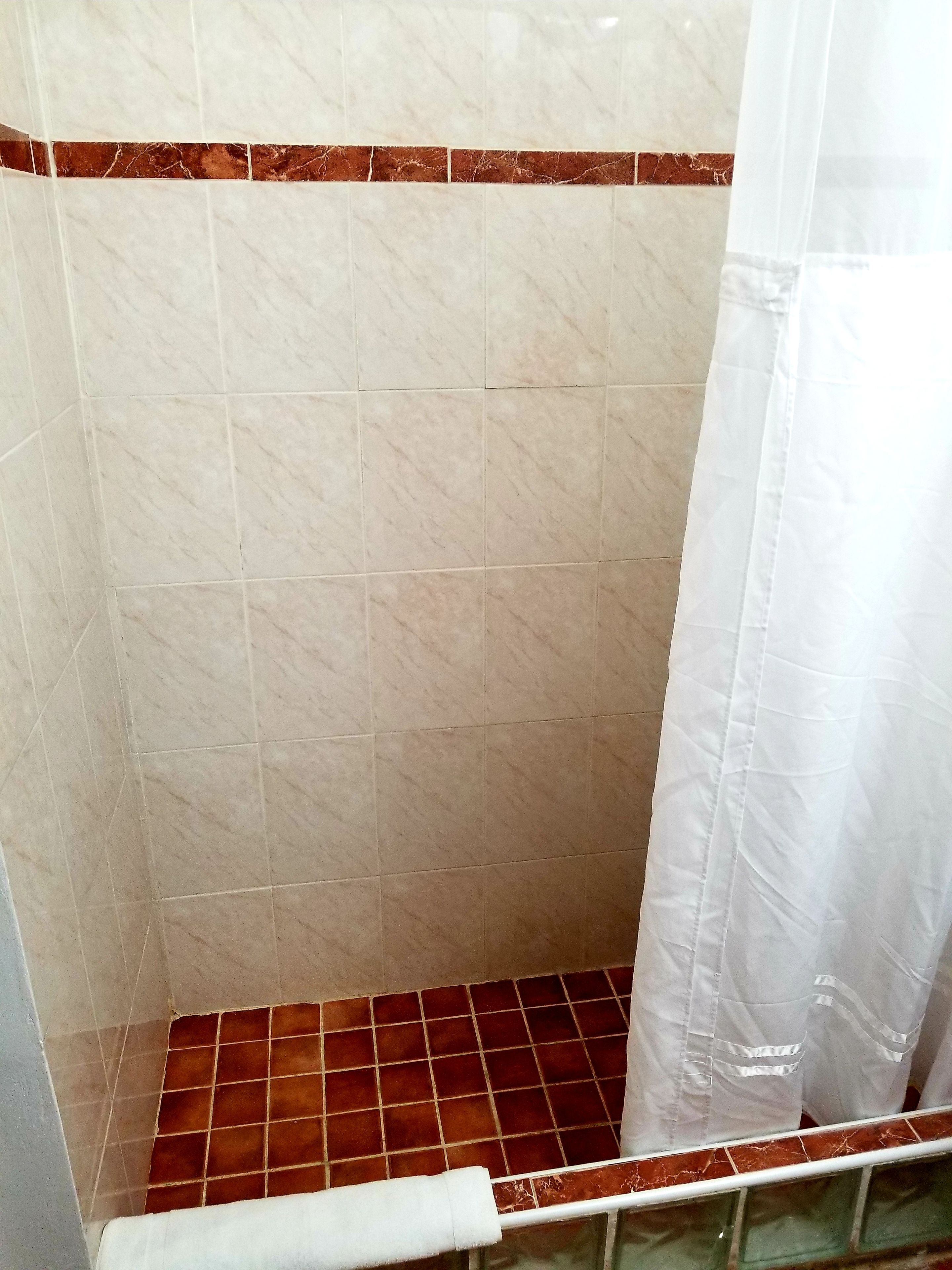 standard room, 1 king bed | bathroom shower