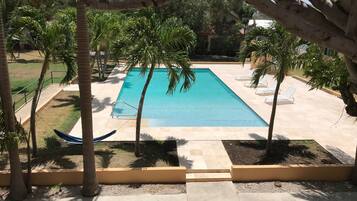 A rectangular swimming pool surrounded by palm trees and lounge chairs.