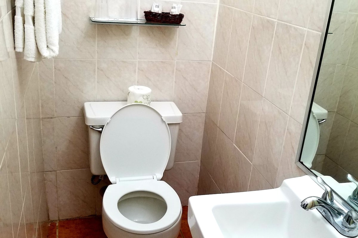 standard room, 1 king bed | bathroom sink