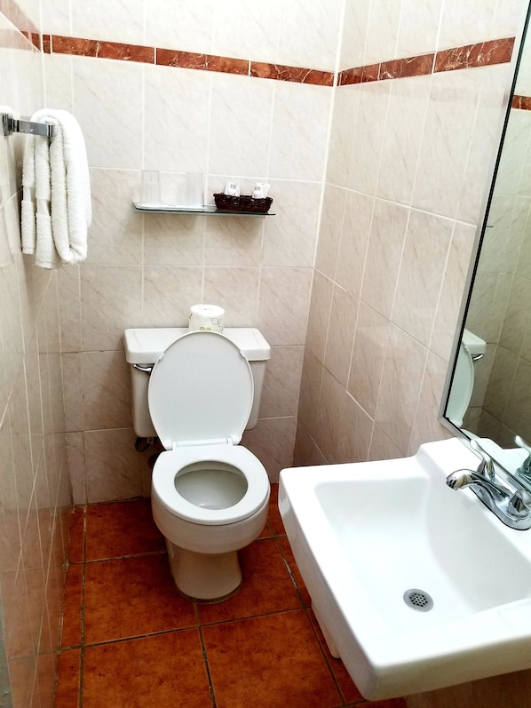 A small bathroom with a toilet, sink, and a mirror.