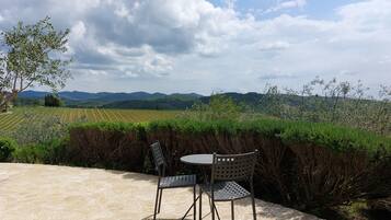 A patio with two metal chairs and a table, overlooking a vineyard and distant hills.