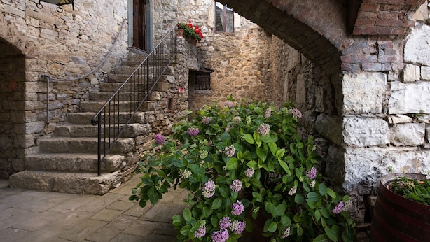 A stone staircase leading to a door, surrounded by stone walls and a potted plant with green leaves and purple flowers. - Agriturismo San Sano (Gaiole in Chianti)