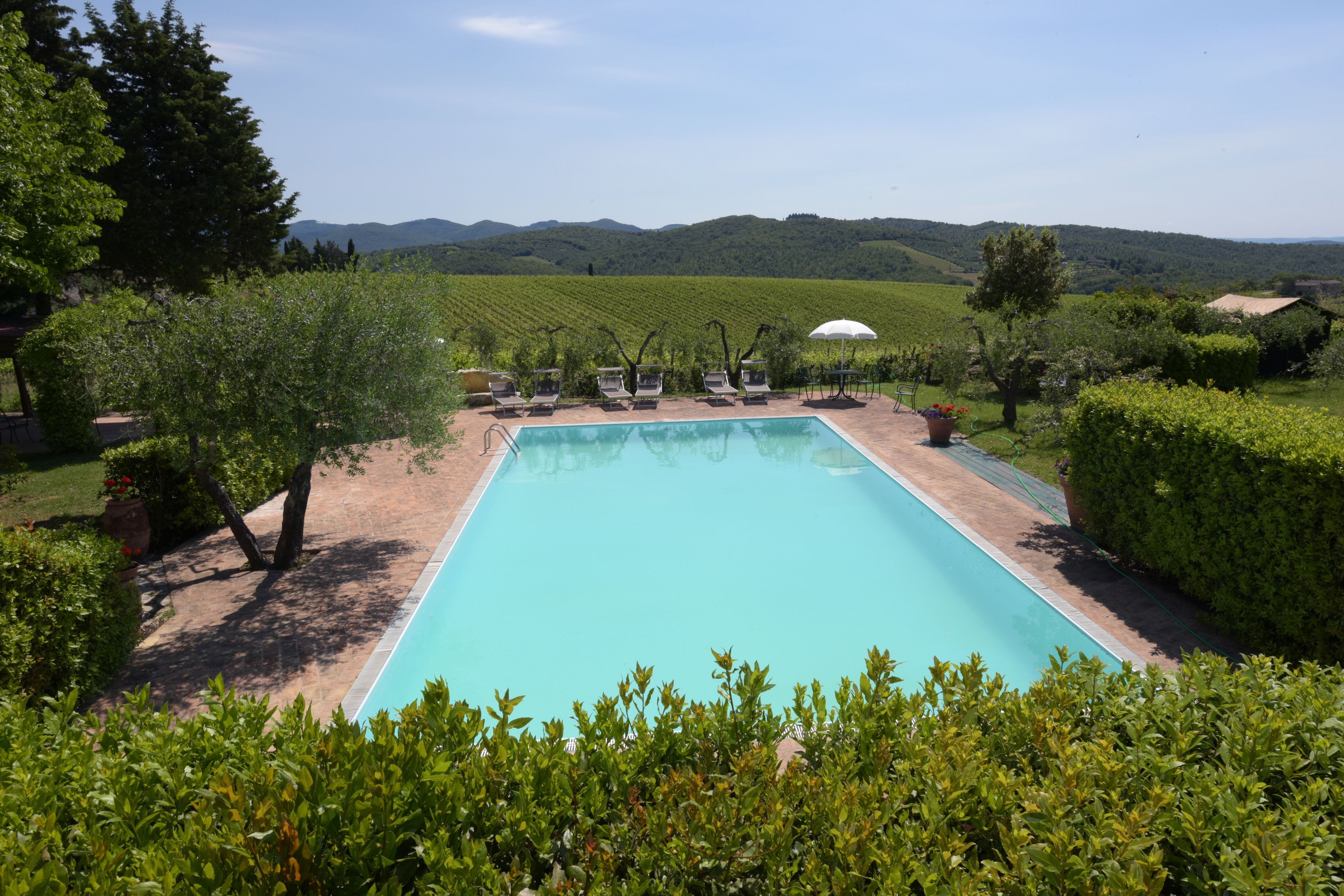 A rectangular swimming pool with lounge chairs and umbrellas, surrounded by lush greenery and vineyards, with hills in the background.
