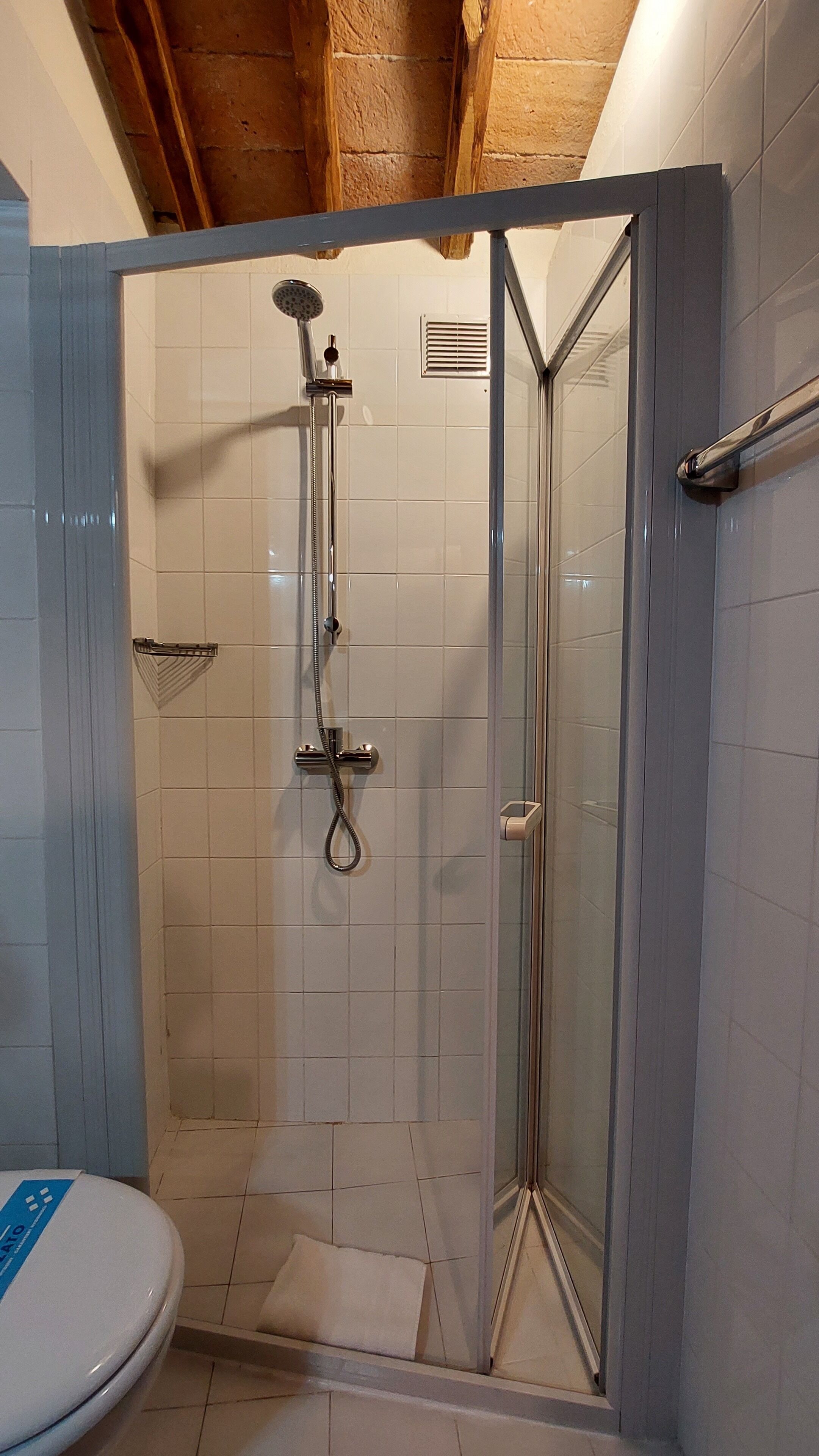 Ducha envuelta en vidrio con cabezal de ducha y grifo de mano.