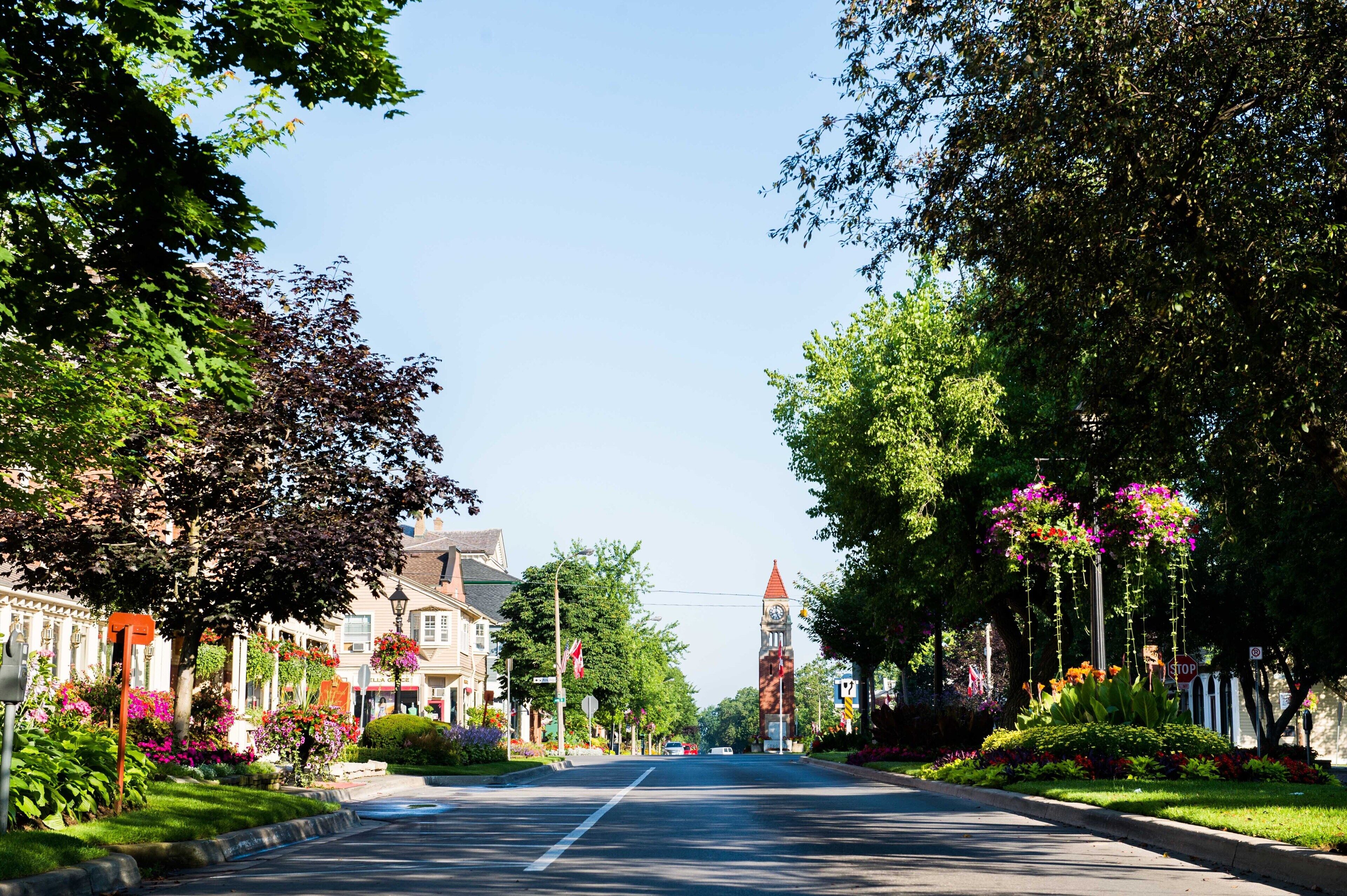 A tree-lined street with a clock tower in the distance.