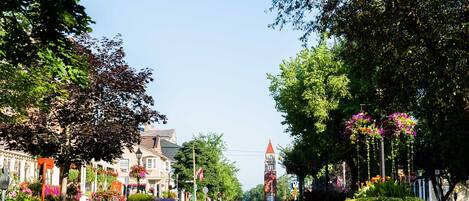 A tree-lined street with a clock tower in the distance.
