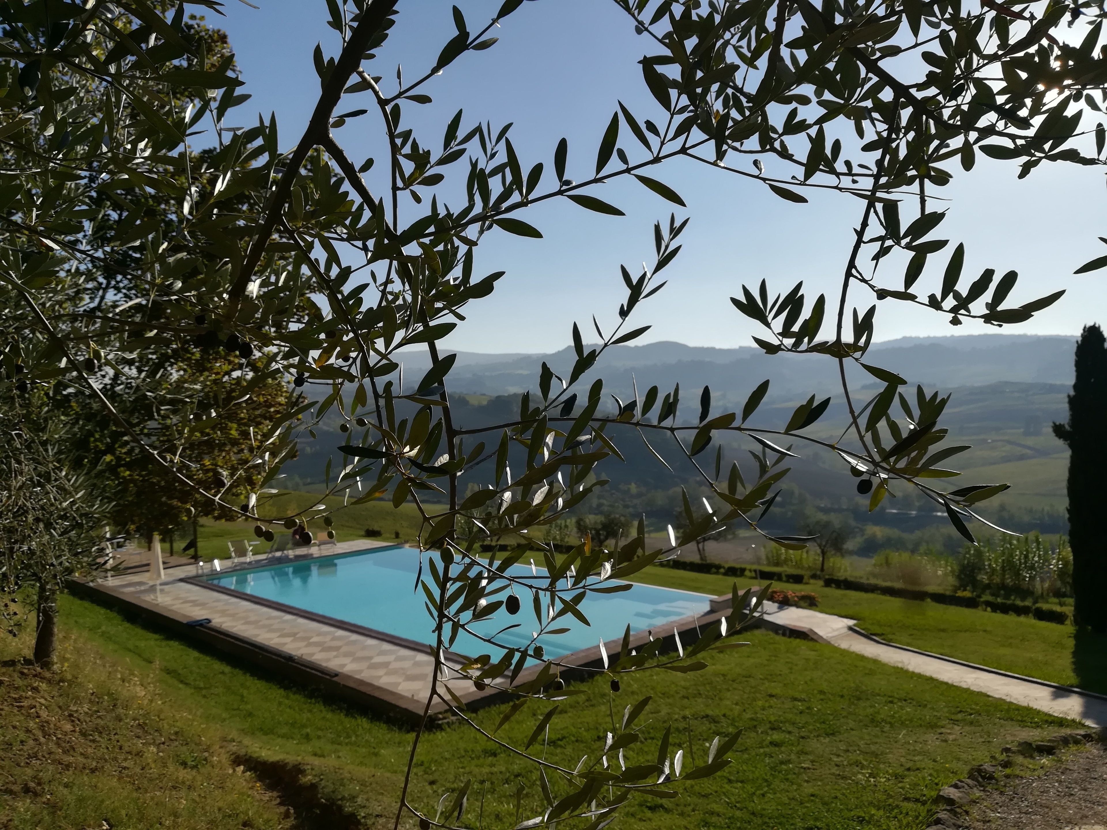 A pool surrounded by a well-maintained lawn with a view of distant mountains.