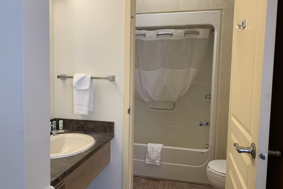 combined shower/bathtub, hydromassage showerhead, free toiletries