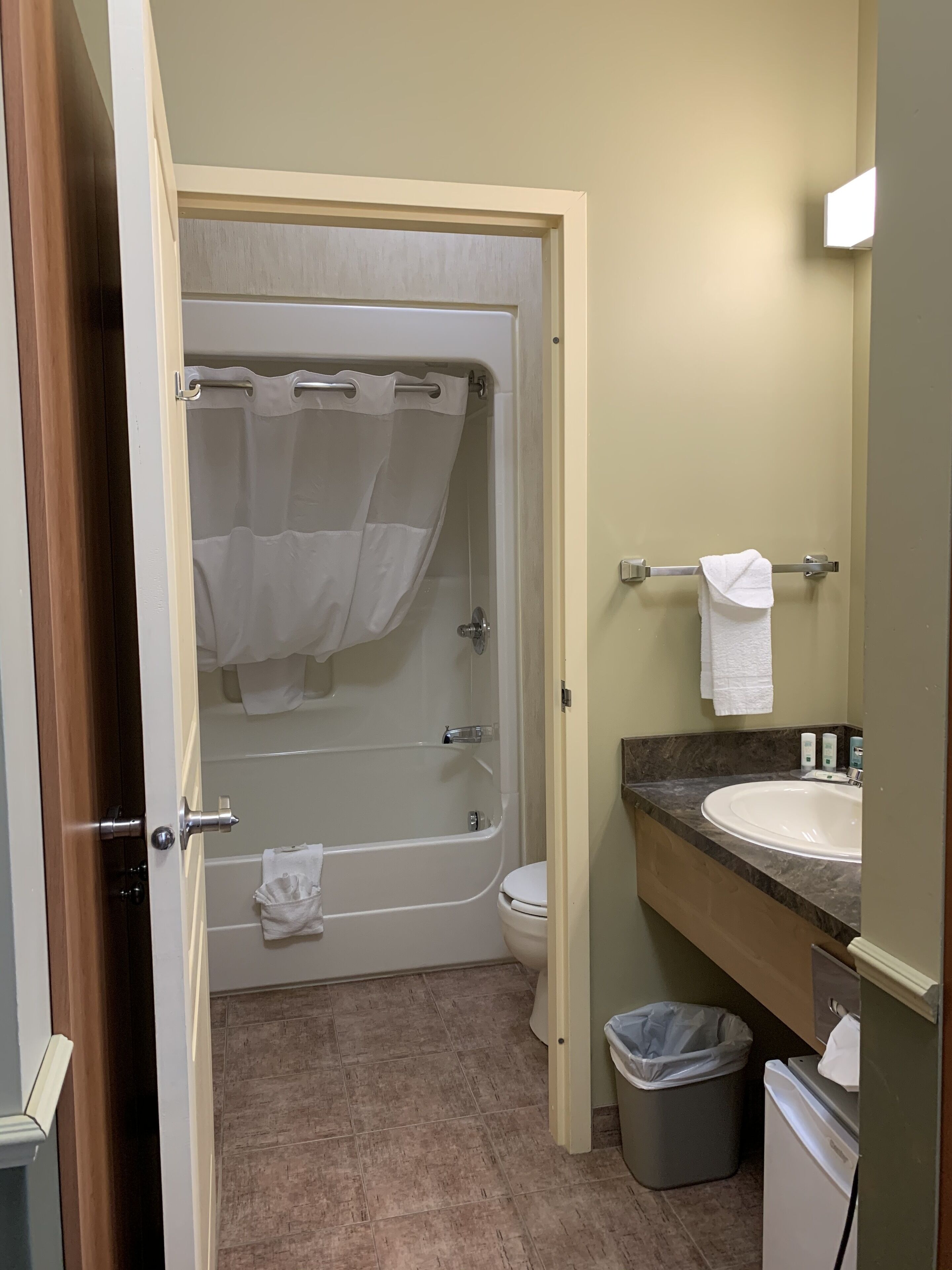 standard room, 1 queen bed, non smoking | bathroom | combined shower/bathtub, hydromassage showerhead, free toiletries