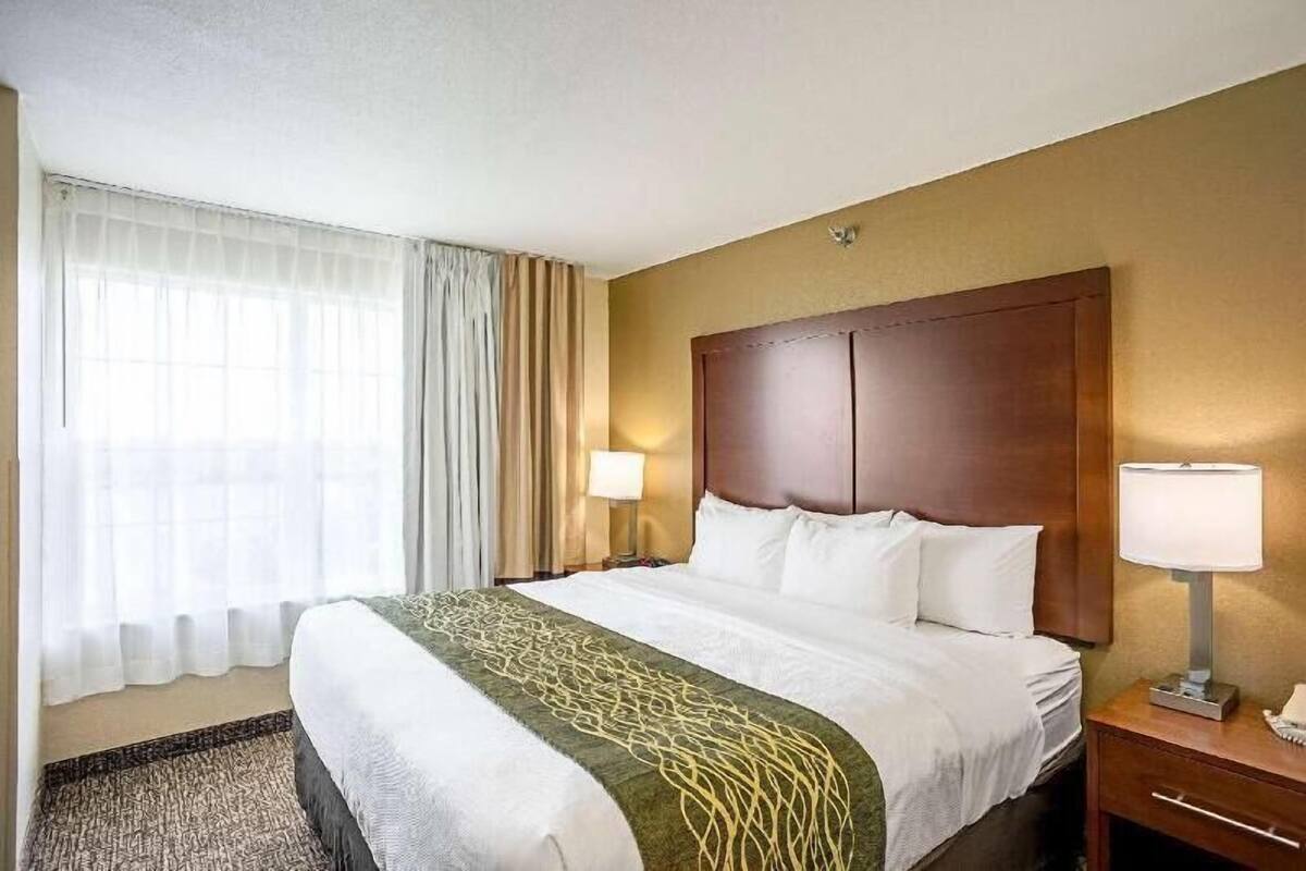 A hotel room with a large bed, a wooden headboard, two bedside lamps, a window with sheer curtains, and a carpeted floor.