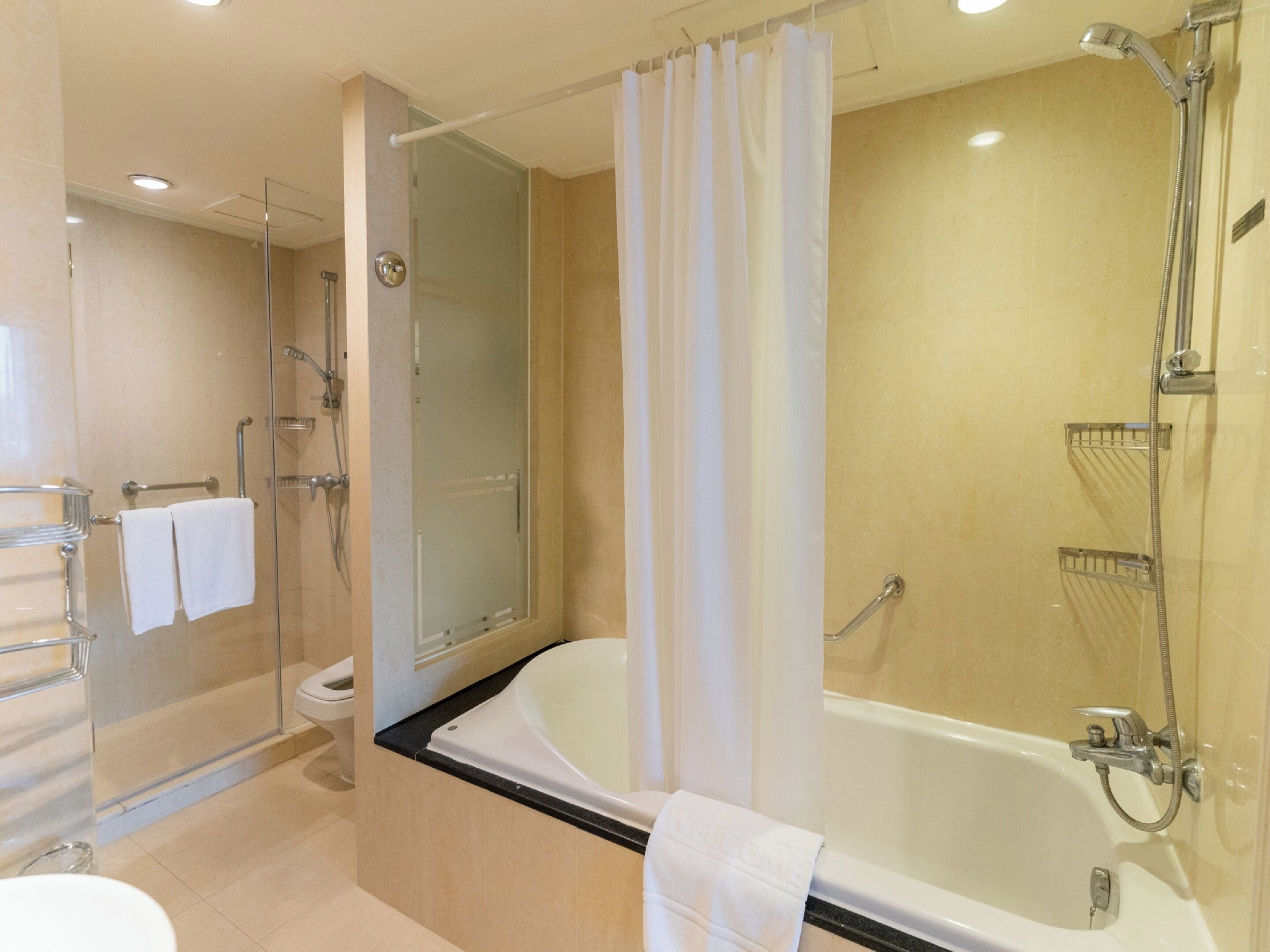 A modern bathroom with a glass-enclosed shower, a bathtub, and a toilet.