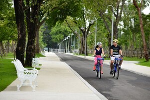 Een pad omzoomd door bomen, met bankjes en fietsers.