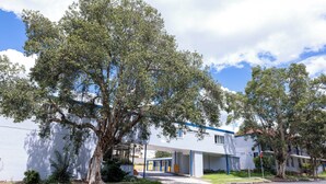 A modern building with a covered entrance and a large tree in front. - Windsor Heritage Motel (Windsor)
